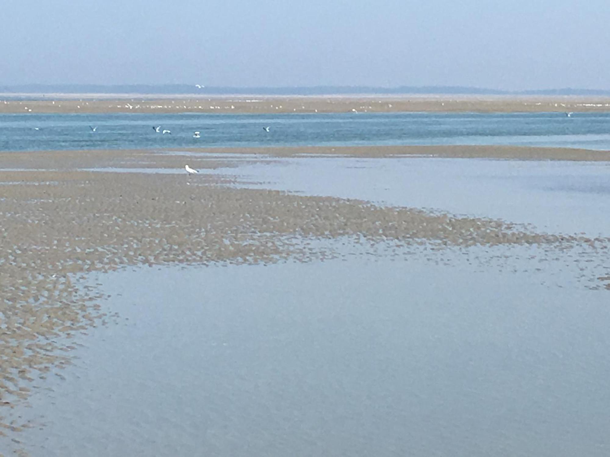 Maison De Pecheur Renovee A 3 Mn De La Mer. Cayeux-sur-Mer Extérieur photo
